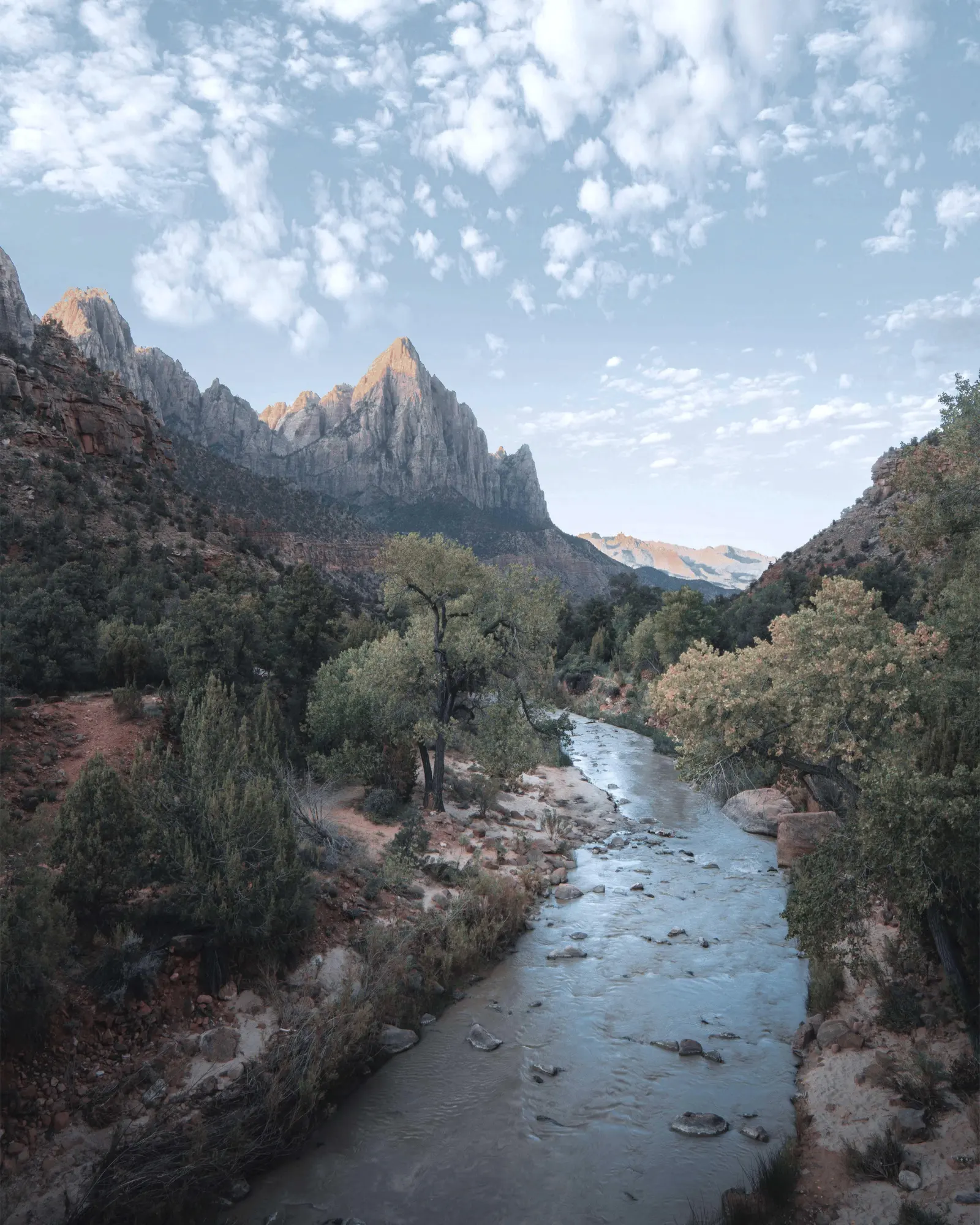 Environmental landscape representing Pravayu's environmental focus